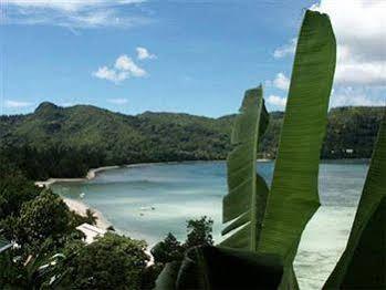 Le Jardin Des Palmes Hotel Anse a La Mouche Luaran gambar