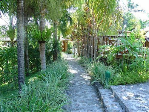 Le Jardin Des Palmes Hotel Anse a La Mouche Luaran gambar